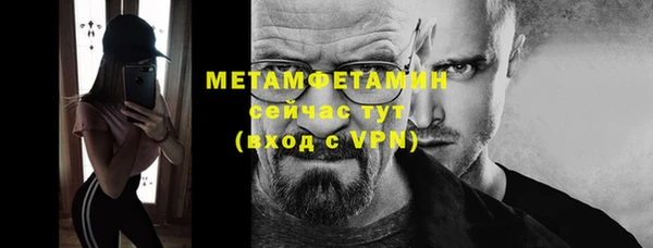 сатива Коряжма