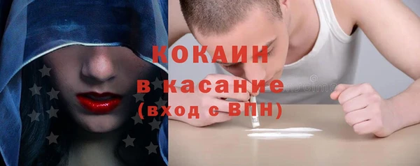 сатива Коряжма
