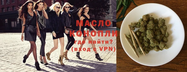 сатива Коряжма