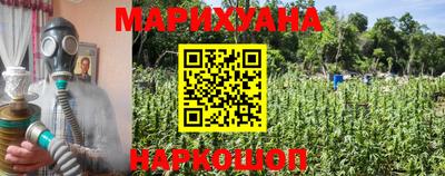 spice Балашиха