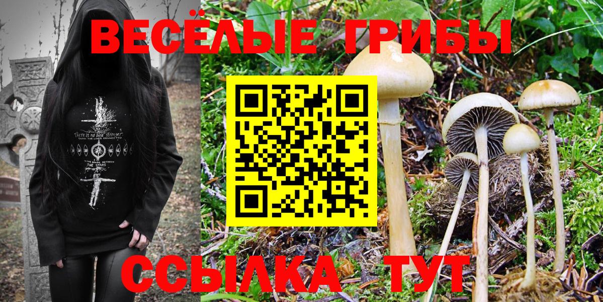 Галлюциногенные грибы Cubensis  Вход с VPN  Галлюциногенные грибы Psilocybe  Сарапул 